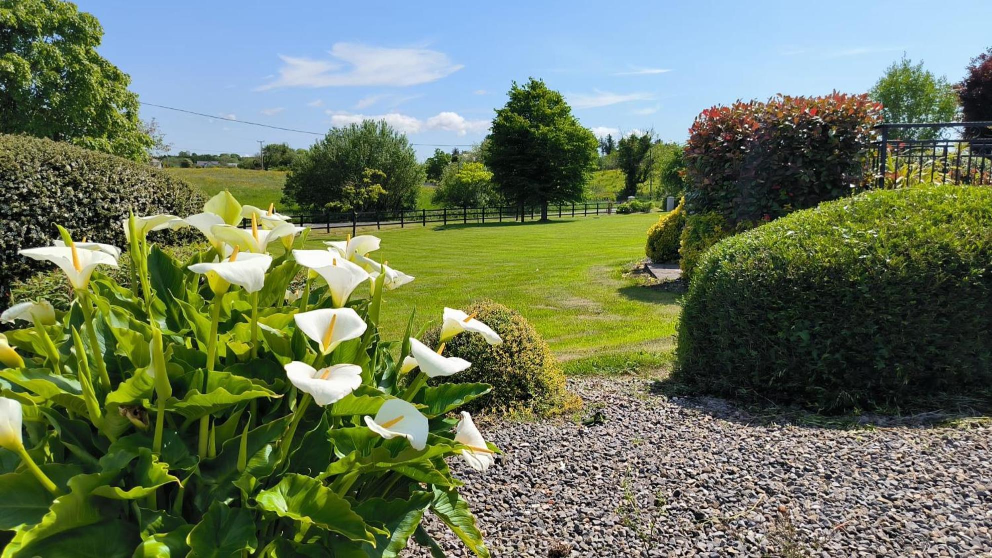 Swinford Country House Exterior foto